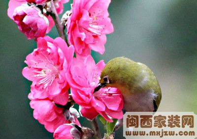 20120612_9ee62bdb6d9d2c765b3ataO0ibiDF8wP.jpg