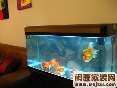 a_59804621.jpg