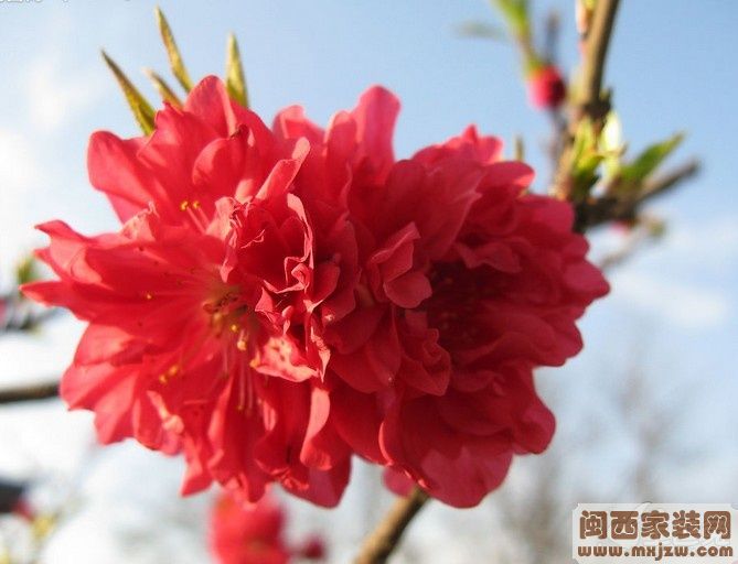 20130131_10fc4052bda1217ce3abFxhzO4F6Eiuh.jpg
