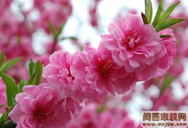 20130308_333eb469a85f615aab1cHv58V0tmNgnc.jpg