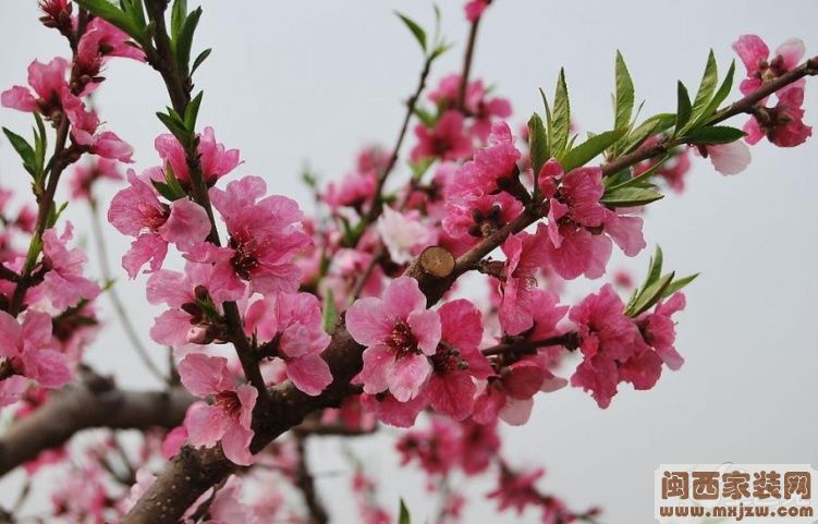 20130408_1ab067707b3e97a649a2K0nktI9gDrSj.jpg