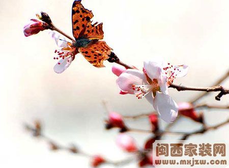 20121225_81bd8f79e0910dd937c1SEgrsUVeUpMF.jpg