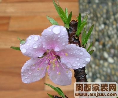20111123_873d82b13d69c9311189gJbiLzfi79pS.jpg