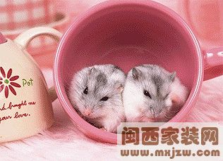 20120419_412769db23d68aa420a2JsWd5devzMo1.jpg