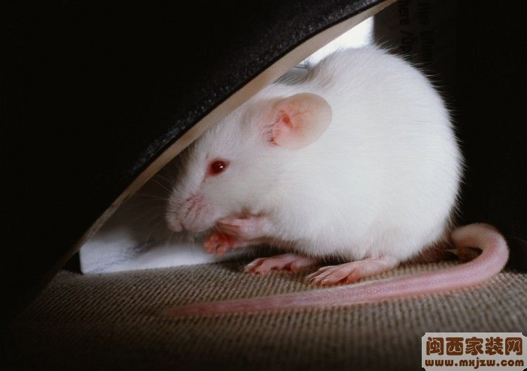 20120419_8eb832ad0ab0595efdfcV08ATFlLtsHI.jpg