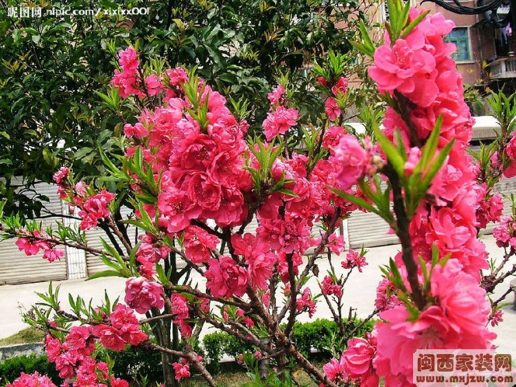 20121204_bed0fced6bd97ed3d49eVLQ59MdQaMYY.jpg