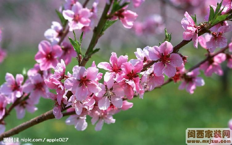 20121018_f157769be323cb109a2d3dwHSoJknLhM.jpg