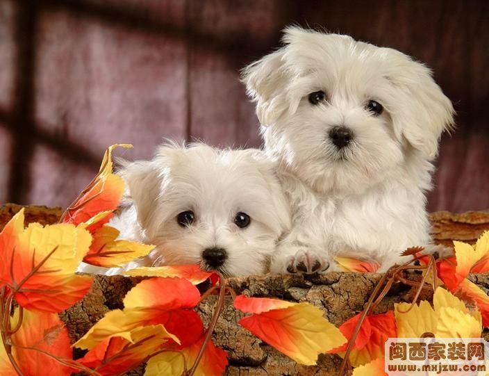 20130111_b2c8673416f1a0a7433eNyDTCX7nDeYQ.jpg
