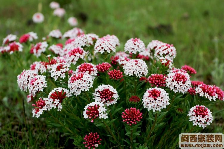 20130711_8e79ac12a043d9487fbe3UP4OhsvcdZ6.jpg