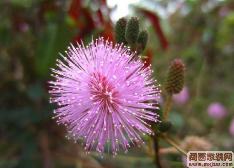 20130711_d83b011a7682ce5ec518P4MYPGPyZ3HT.jpg