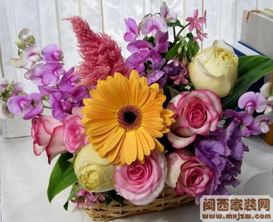 20130514_c6ccd867dbccf4db12baeQIPdpiFnMin.jpg