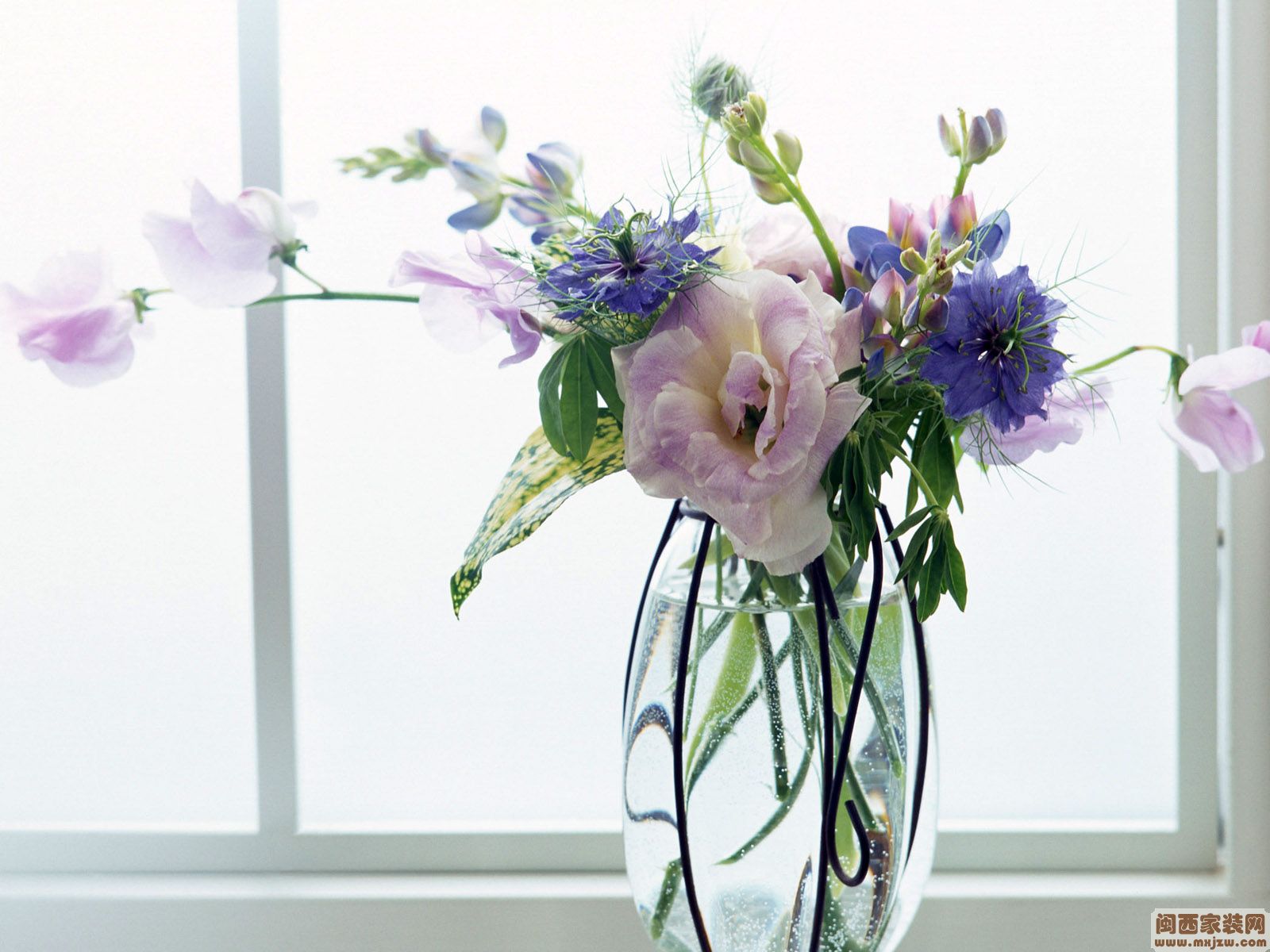20130514_d667a4c37a1ee6663ee5bPIZ0qDSmuXZ.jpg
