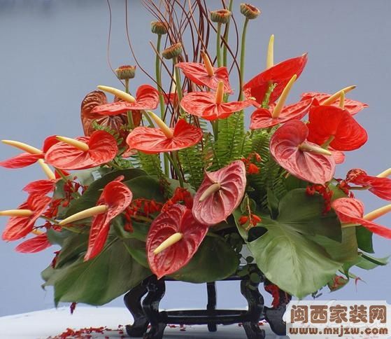20130514_2d9464c125e7f7e0abb7GGPR8f56G7Yk.jpg