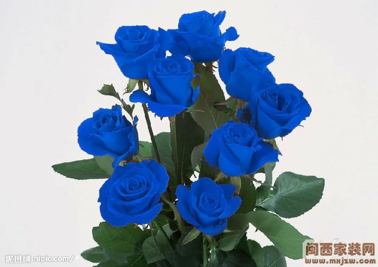 20130701_4316b901cb16fdef753cmgV9WUx9ZOSz.jpg