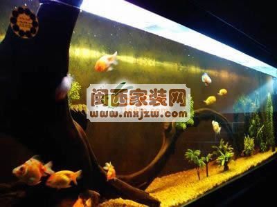 20110525_7d0876b0510edf209d5bCtBjRje8J2dc.jpg