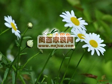 20110726_f66f01a8bf520267309cUN9jg9livQdq.jpg