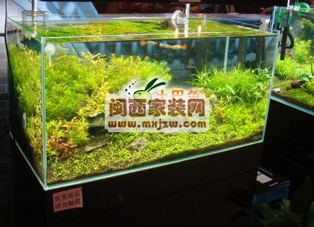 20110726_d3c25a3dae8d0ae3799dJ9uDn66MK2Ie.jpg