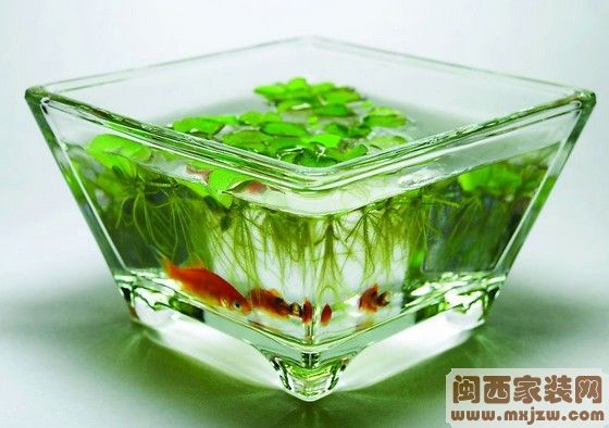 20120807_1a3539a2ccae9a5947e6856ieckIG1NS.jpg