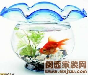 20130129_8ae9e16d3eeb1f974c6e8G7OjQnqIDa1.jpg