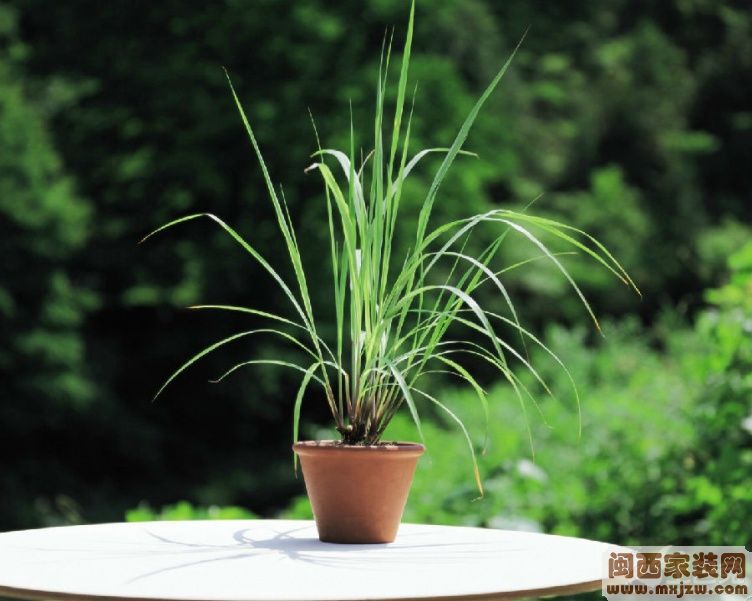 20130703_936008a8a8d03780b07ddrWs6w8ugKeA.jpg